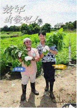 明星大侦探 推理综艺